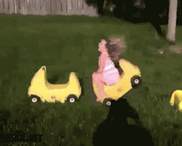 funny gifs, animated gifs, best gifs, gifs funny, funny vids