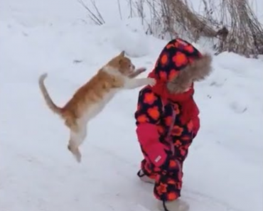 funny gifs, funny animated gifs, gifs funny, funny animal gifs, funny vids, funny reaction gifs, funny moving gifs, funny kid gifs