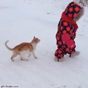 funny gifs, funny animated gifs, gifs funny, funny animal gifs, funny vids, funny reaction gifs, funny moving gifs, funny kid gifs