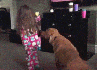 the-best-funny-pictures-of-kids-getting-hurt-kids-getting-injured-tackle-dog-little-girl.gif