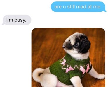 still mad at me text, are you still mad, are you still mad at me, how to, how to get someone to stop being mad, cute, cute dogs, funny texts, funny text, texts, text, funny text messages, funny text message, funny texts messages, funny texts message, funny text fails, funny text jokes, funny text posts, funny texts drunk, funny text pictures, drunk text, drunk texts, embarrassing texts, embarrassing text, funny text message forwards, funny drunk text, funny text conversations, funny picture text messages, text funny, funny things to text, text messages funny, funny text posts, funny love text message, funny text messages pictures, i funny text messages, funny sms text messages, really funny text messages, very funny text messages, free funny text messages, best funny text messages, funny text message conversations, funny text photos, photo funny text, pictures of funny text messages, funny phone text messages, funny stuff to text, short funny text messages, text funny messages, funny sms text, funny text message forwards, good funny text messages, real funny text messages, most funny text messages, long funny text messages, funny message text, funny short text messages, funny appropriate text messages, extremely funny text messages, funny friend text messages, funny things to send in a text, funny text chats, funny replies to text messages, funny text sms, funny text messages friends, funny text messages between couples, funny funny text messages, cool funny text messages