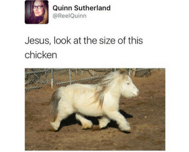 funniest tweets, funny tweets, best tweets, top tweets, tweets, tweet, top tweet, best tweet, funny tweet, funniest tweet, hilarious tweets, very funny tweets, funniest tweets 2016, funniest tweets 2017, funniest tweets 2018, funniest tweets 2019, best tweets 2016, best tweets 2017, best tweets 2018, best tweets 2019, top tweets 2016, top tweets 2017, top tweets 2018, top tweets 2019, trump tweets, anti trump tweets