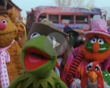 kermit covers ignition, kermit sings ignition, kermit singing ignition, kermit covering ignition, kermit ignition (remix), ignition remox kermit, kermit ignition remix, ignition r kelly kermit, r kermit, r kelly kermit, ignition parody, ignition cover, kermit the frog funny, funny kermit the frog, kermit the frog sings ignition, kermit the frog singing ignition, kermit the frog covers ignition, kermit the frog covering ignition, muppets ignition, ignition muppets, the muppets ignition, muppet songs, cover songs, cover song, covers, r kelly songs, r. kelly songs, muppets singing, weird song, funny song, weird songs, funny songs, weirdest video ever, random video, most random video, weird song, weirdest song ever, singalong, sing a long, funny videos, videos funny, funny vids, vids funny, funny video, video funny, funny vid, vid funny, funniest videos 2016, funniest videos 2017,funniest videos 2018, funniest videos 2019, funniest videos 2020, best videos 2016, best videos 2017, best videos 2018, best videos 2019, best videos 2020, weirdest videos 2016, weirdest videos 2017, weirdest videos 2018, weirdest videos 2019, weirdest videos 2020