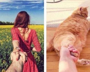 funny pics for facebook of