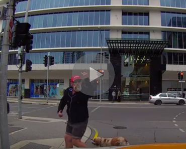 funny video of an angry pedestrian getting instant karma by running into a pole