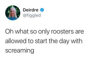 funny tweet about only roosters are allowed to start the day with screaming