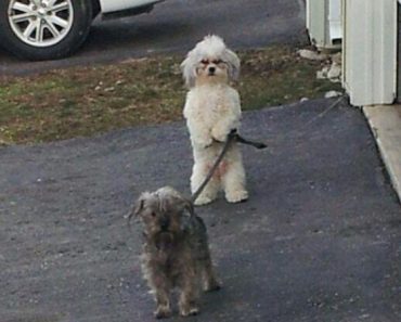best funny pictures, funny pics, funny photos, funny pictures, funny vids, the best funny pictures, really funny photos, funny photos of animals, funny photos 2016, funny photos 2017, funny photos 2018, funny photos 2019, funny pics 2016, funny pics 2017, funny pics 2018, funny pics 2019, funny pictures 2016, funny pictures 2017, funny pictures 2018, funny pictures 2019, funniest pics 2016, funniest pics 2017, funniest pics 2018, funniest pics 2019, funniest pictures 2016, funniest pictures 2017, funniest pictures 2018, funniest pictures 2019, funniest photos 2016, funniest photos 2017, funniest photos 2018, funniest photos 2019, where to find funny pictures, funny pictures which made everyone laugh, where funny pictures, where to download funny pictures, where to find funny pictures with captions, where to get funny pictures for instagram, where to find funny pictures to share, where to find funny pictures to share on facebook, where to see funny pictures, funny pictures for instagram, funny pictures for facebook, funny pictures for memes, funny pictures for wallpaper, funny pictures for him, funny pictures for her, funny pictures for friends, funny pictures for snapchat, funny pictures like uberhumor, funny pictures like 9gag, funny pictures like facebook, funny pictures like, funny pictures like ifunny, funny stuff like pictures, funny pictures to text, funny pictures to photoshop, funny pictures to send, funny pictures to caption, funny pictures to post, funny pictures to make someone feel better, funny pictures to put on facebook, funny pictures to make you laugh, funny pictures to make you smile, funny pictures to brighten your day, funny pictures to brighten someone's day, funny pictures with words, funny pictures with no words, funny pictures without captions, funny pictures with jokes, funny pictures with dogs, funny pictures with cats, funny pictures without words, funny pictures without text, where can I find funny photos, best photos ever, best photo ever, silly photos, silly pictures, silly pics,