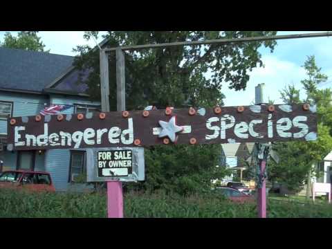 Hank's Toilet Garden