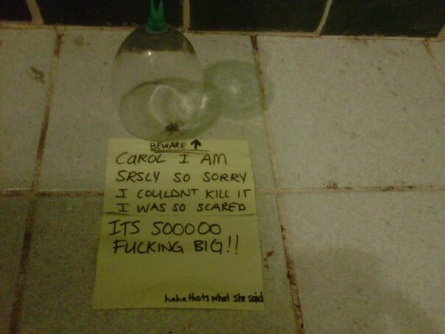 funny pics, funny photos, funny pictures, best pictures, apology notes, funny apology notes
