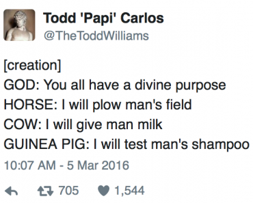 50 Of The Funniest Holiday Tweets To Ever Grace The Internet