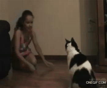 free-animated-gifs-of-kids-getting-hurt-kid-fails-Girl-Attacked-by-Cat.gif