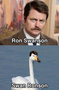 21 Very Funny Celebrity Name Puns