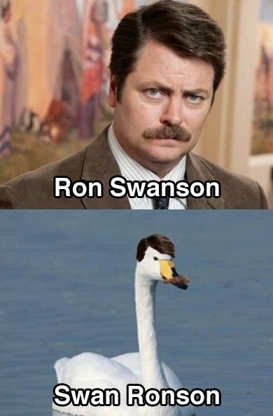 funny celebrity name memes