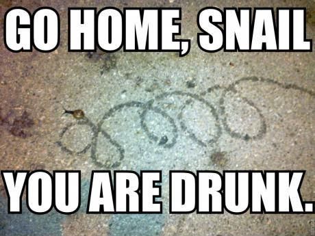 funny, funny photos, funny pics, funny pictures, funny vids, funny memes, meme, memes, best memes, go home drunk meme, go home you're drunk
