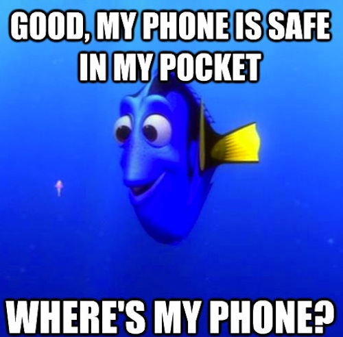 Really Funny Memes: Forgetful Dory