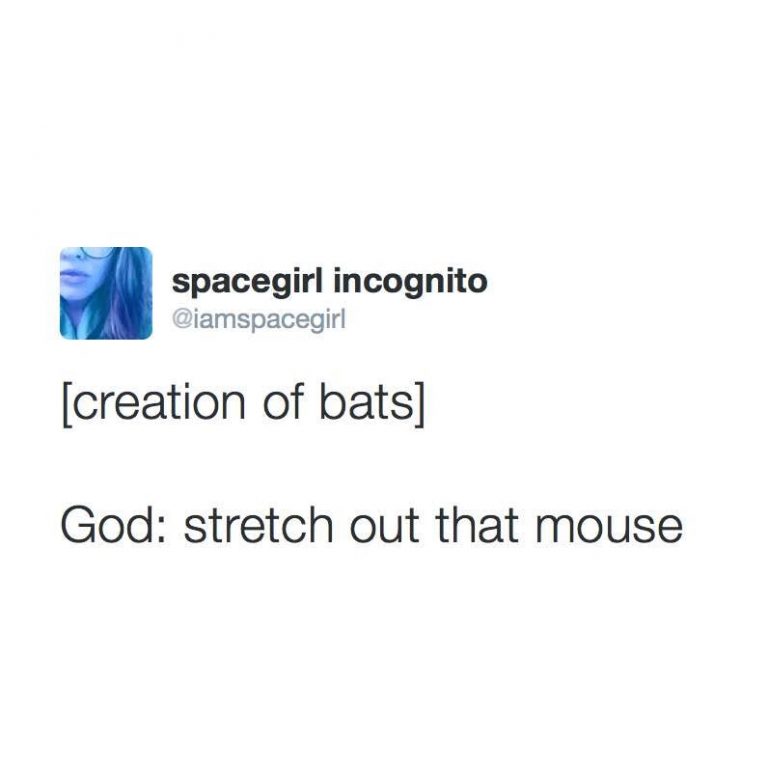 best tweets, funny tweets, top tweets, funniest tweets, tweets of the week, funny vids