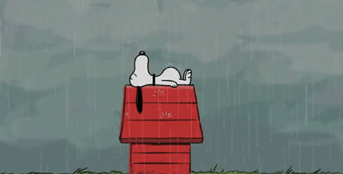 funny gifs, gif, gifs, moving gifs, animated gifs, movie gifs, singing in the rain, gene kelly, people who love rain, snoopy, snoopy gif, peanuts, peanuts gang, snoopy on roof