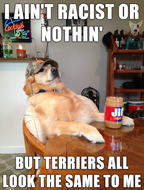 funny-pics-of-redneck-retriever-meme-funny-memes-01.png