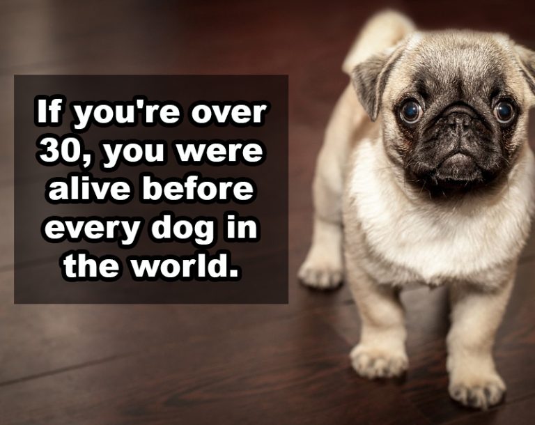 shower thoughts, random shower thoughts, funny vids, reddit shower thoughts, shower thoughts reddit, best shower thoughts, thoughts in the shower, shower thoughts tumblr, shower thoughts meme, shower thoughts imgur