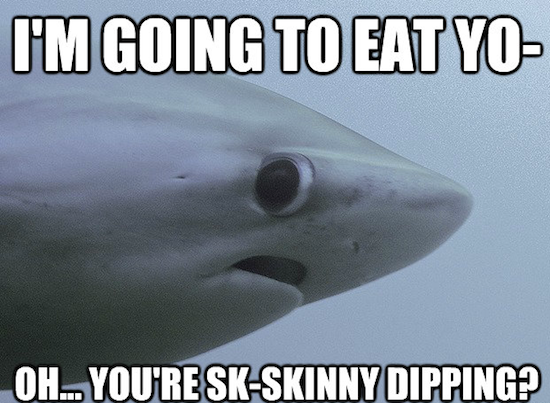 shy shark, shy shark meme, shy shark know your meme, shy shark meme maker, shark meme, sad shark meme, shark week meme, shark attack meme 