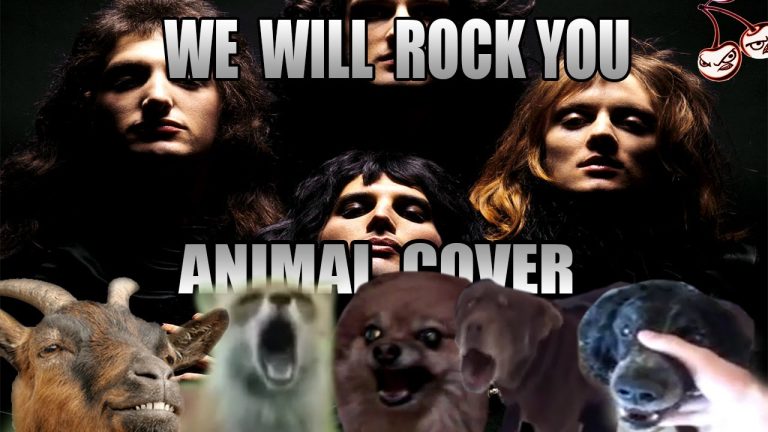 we will rock you animal, we will rock you animal cover, we will rock you animals cover, we will rock you animals version, we will rock you animal version, queen, we will rock you, queen we will rock you, funny vids, funny vid, funny videos, funny video, funny animal video, funny animal videos, cover, covers, cover song, cover songs