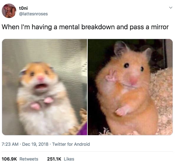 funny tweets - when i have a mental breakdown pass mirror