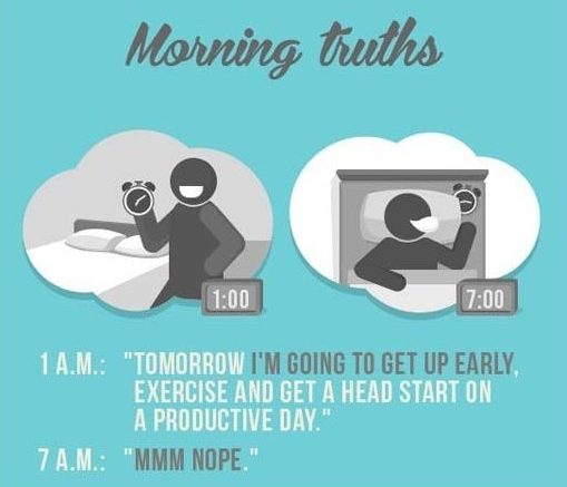 morning truths, morning facts, life facts, morning truths 2013, wake up truths, snooze truths, facts about morning, facts about life