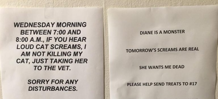 cat letter, funny cat letter, cat letter to owner, cat responds to owner, funny cat note, funny cat sign, funny cat, funny cats, funny note, funny notes, funny sign, funny signs, funny pic, funny pics, funny photo, funny photos, funny pictures, funny picture