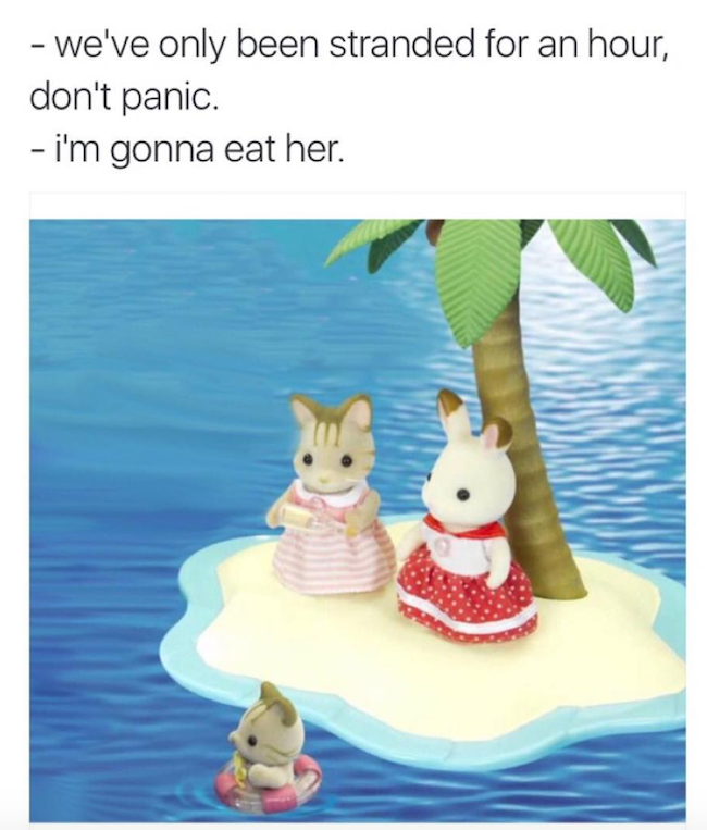 Cute Animal Figurines With Raunchy Captions Make The Internet A Better Place