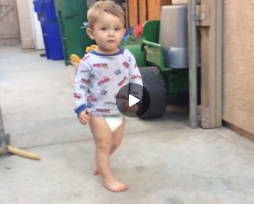 funny video, funny videos, funny vid, funny vids, funny vine, funny vines, funny animal vine, funny animal vines, funny animal video, funny animal videos, funny kid vines, funny baby vines, fail, fails, fail videos, funny fails, kid gets knocked over by dog, kids getting injured, kids getting hurt, funny injury, run over, ran over, bulldog, funny bulldog, bulldog video, funny bulldog video