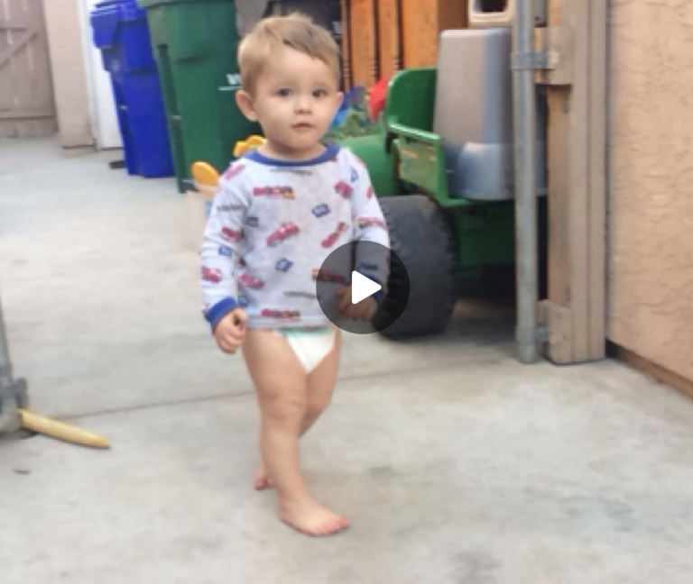 funny video, funny videos, funny vid, funny vids, funny vine, funny vines, funny animal vine, funny animal vines, funny animal video, funny animal videos, funny kid vines, funny baby vines, fail, fails, fail videos, funny fails, kid gets knocked over by dog, kids getting injured, kids getting hurt, funny injury, run over, ran over, bulldog, funny bulldog, bulldog video, funny bulldog video