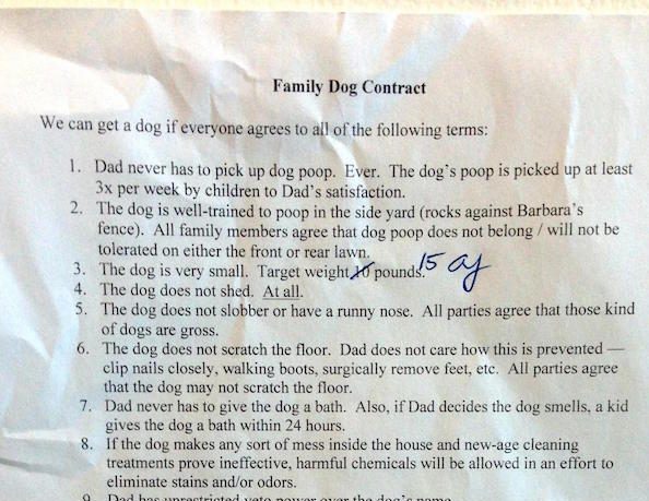 You Have To Respect The Dog Contract This Reluctant Dad Made His Family