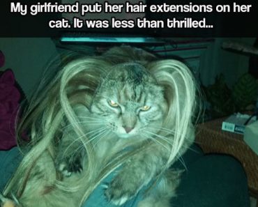 best funny pictures, funny pics, funny photos, funny pictures, funny vids, the best funny pictures, really funny photos, funny photos of animals