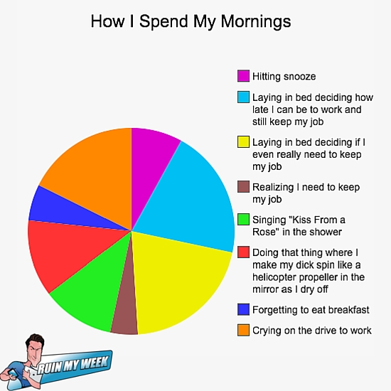 How I Spend My Mornings: An Informative Pie Chart