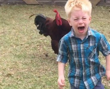 best funny pictures, funny pics, funny photos, funny pictures, funny vids, the best funny pictures, really funny photos, funny photos of animals