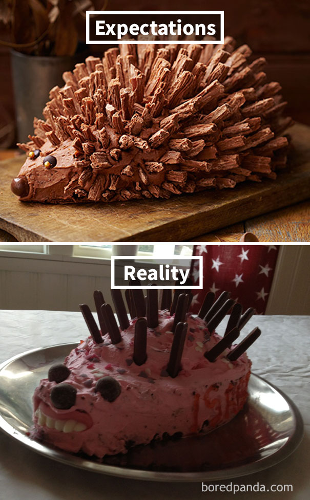 hedgehog cake fail funny
