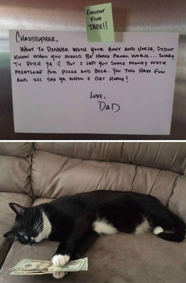 Funny Notes From Parents Will Make You Feel Right At Home