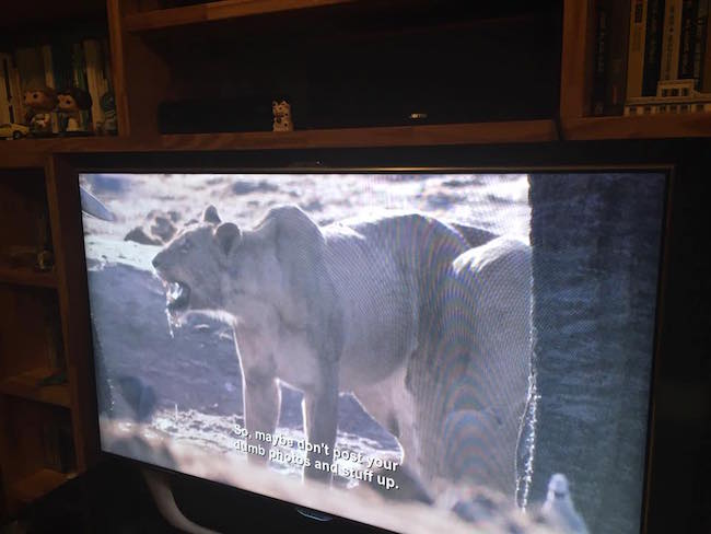 This BBC Nature Show Is Much Better With Aziz Ansari Subtitles