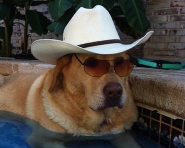 best funny pictures, funny pics, funny photos, funny pictures, funny vids, the best funny pictures, really funny photos, funny photos of animals