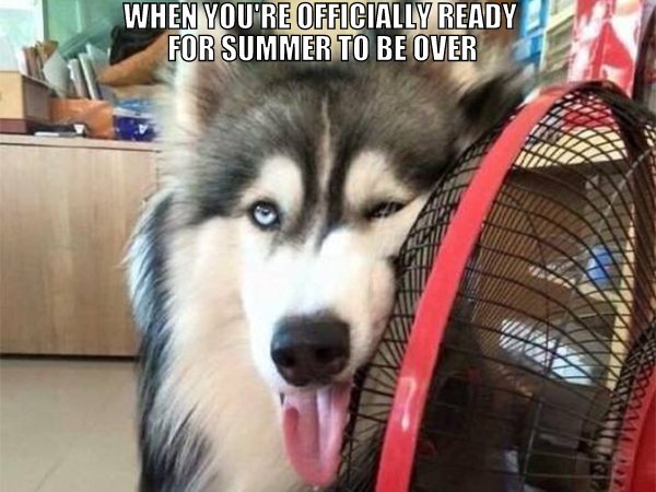 best funny pictures, funny pics, funny photos, funny pictures, funny vids, the best funny pictures, really funny photos, funny photos of animals