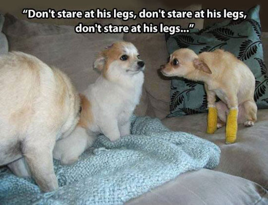 best funny pictures, funny pics, funny photos, funny pictures, funny vids, the best funny pictures, really funny photos, funny photos of animals