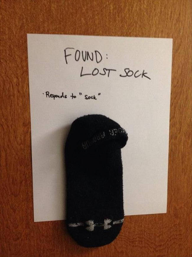 All Of These Funny Lost And Found Flyers Are Worth 