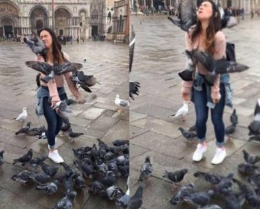 best funny pictures, funny pics, funny photos, funny pictures, funny vids, the best funny pictures, really funny photos, funny photos of animals, funny photos 2016, funny photos 2017, funny photos 2018, funny photos 2019, funny pics 2016, funny pics 2017, funny pics 2018, funny pics 2019, funny pictures 2016, funny pictures 2017, funny pictures 2018, funny pictures 2019, funniest pics 2016, funniest pics 2017, funniest pics 2018, funniest pics 2019, funniest pictures 2016, funniest pictures 2017, funniest pictures 2018, funniest pictures 2019, funniest photos 2016, funniest photos 2017, funniest photos 2018, funniest photos 2019