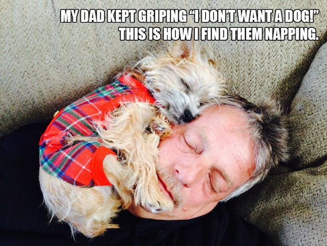 dads who didn't want dogs, dads who didnt want dogs, dads didnt want dogs, dads and dogs, dogs and dads, funny dads dogs, funny dogs dads, dads who said they didn't want dogs, dads didn't want a dog, reluctant pet parents, reluctant dog owners, reluctant dog dads, funny dog, funny dogs, dog, dogs, dogs funny, dog funny, funny pictures of dogs, funny dogs and cats, funny pics of dogs, pictures of funny dogs, funny images of dogs, dogs being funny, cute funny dogs, funny photos of dogs, funny cute dogs, dogs with funny faces, images of funny dogs, funny dogs with captions, funny pictures of cats and dogs, funny pictures dogs, funny pictures of dogs and cats, pics of funny dogs, funny pictures of dogs with captions, cute and funny dogs, funny dogs images, really funny dogs, dogs images funny, funny dogs photos, very funny dogs, dogs are funny, funny funny dogs, dogs that are funny, funny pics of dogs with captions, funny small dogs, funny big dogs, funny and cute dogs, funny pics of dogs and cats, funny pics dogs, pictures of funny looking dogs, funny pics of cats and dogs, funny looking dogs pictures, funny little dogs, funny pictures with dogs, photos of funny dogs, most funny dogs, funny dogs and puppies, funny cats and funny dogs, funny pictures about dogs, i love funny dogs, pictures of funny dogs and cats, images funny dogs, really funny pictures of dogs, pictures funny dogs, funny dads, funny photos, funny pics, funny picture, best funny pictures, funny dads, dads funny, funniest dad ever, best dad ever, best dads ever, funniest dads ever, funniest dad photos 2016, funniest dad photos 2017, funniest dad photos 2018, funniest dad photos 2019, funny fathers, fathers funny, funny parents, parents funny, funniest parents ever, best parents ever, funniest dad pictures 2016, funniest dad pictures 2017, funniest dad pictures 2018, funniest dad pictures 2019, funniest dad pictures 2020, funniest parents 2016, funniest parents 2017, funniest parents 2018, funniest parents 2019, funniest parents 2020