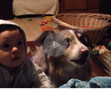 Watch This Dog Learn To Talk Like A Human In The Most Epic Way Possible