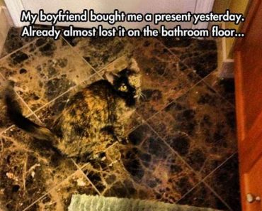 best funny pictures, funny pics, funny photos, funny pictures, funny vids, the best funny pictures, really funny photos, funny photos of animals, funny photos 2016, funny photos 2017, funny photos 2018, funny photos 2019, funny pics 2016, funny pics 2017, funny pics 2018, funny pics 2019, funny pictures 2016, funny pictures 2017, funny pictures 2018, funny pictures 2019, funniest pics 2016, funniest pics 2017, funniest pics 2018, funniest pics 2019, funniest pictures 2016, funniest pictures 2017, funniest pictures 2018, funniest pictures 2019, funniest photos 2016, funniest photos 2017, funniest photos 2018, funniest photos 2019