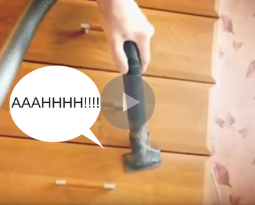 vacuum screams, screaming vacuum, vacuum screaming, vacuum sounds like it's screaming, vacuum sounds like screaming, vacuum sounds like screams, vacuum screams over gaps, funny video, funny video, funny vids, funny vid, weird videos, weird video, random video, random videos, funniest video ever, funniest videos 2016, funniest videos 2017, funniest videos 2018, funniest videos 2019, funniest videos 2020, best videos 2016, best videos 2017, best videos 2018, best videos 2019, best videos 2020, weirdest video ever, weird videos, really weird, weirdest videos 2016, weirdest videos 2017, weirdest videos 2018, weirdest videos 2019, weirdest videos 2020