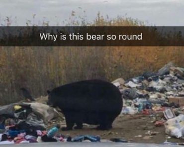 best funny pictures, funny pics, funny photos, funny pictures, funny vids, the best funny pictures, really funny photos, funny photos of animals, funny photos 2016, funny photos 2017, funny photos 2018, funny photos 2019, funny pics 2016, funny pics 2017, funny pics 2018, funny pics 2019, funny pictures 2016, funny pictures 2017, funny pictures 2018, funny pictures 2019, funniest pics 2016, funniest pics 2017, funniest pics 2018, funniest pics 2019, funniest pictures 2016, funniest pictures 2017, funniest pictures 2018, funniest pictures 2019, funniest photos 2016, funniest photos 2017, funniest photos 2018, funniest photos 2019