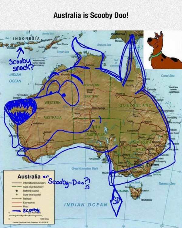 the-best-funny-pictures-of-scooby-doo-australia.jpeg