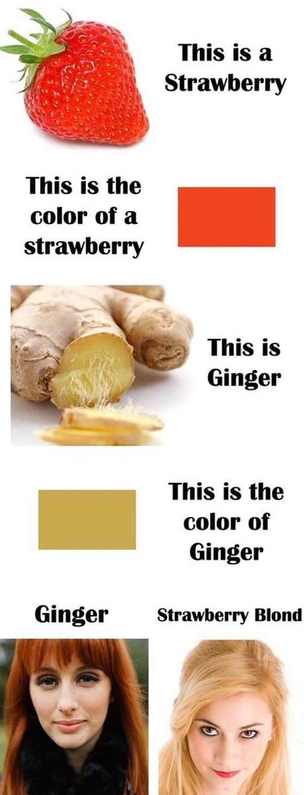 funny pic of strawberry blond vs ginger